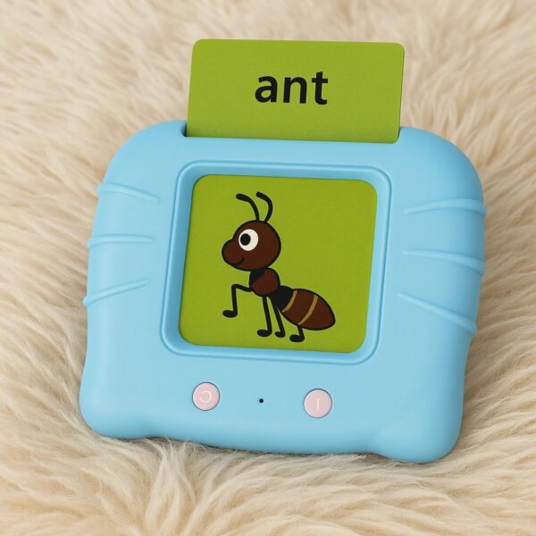 Crabtots Flash Cards for Kids English Words Preschool Reading Early Talking Toy-112pcs (Multicolor)